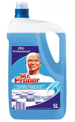 Mr Proper fraîcheur de l'océan professional 5L